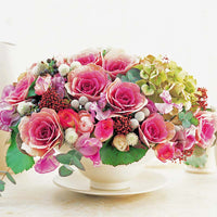 Crane Pink – Ornamental Kale Seed