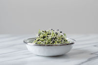 Onion – Organic Sprouting Seeds