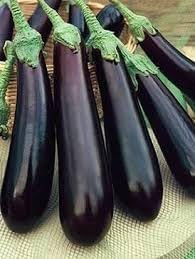 Orient Eggplant Seeds for Planting, 100 pcs