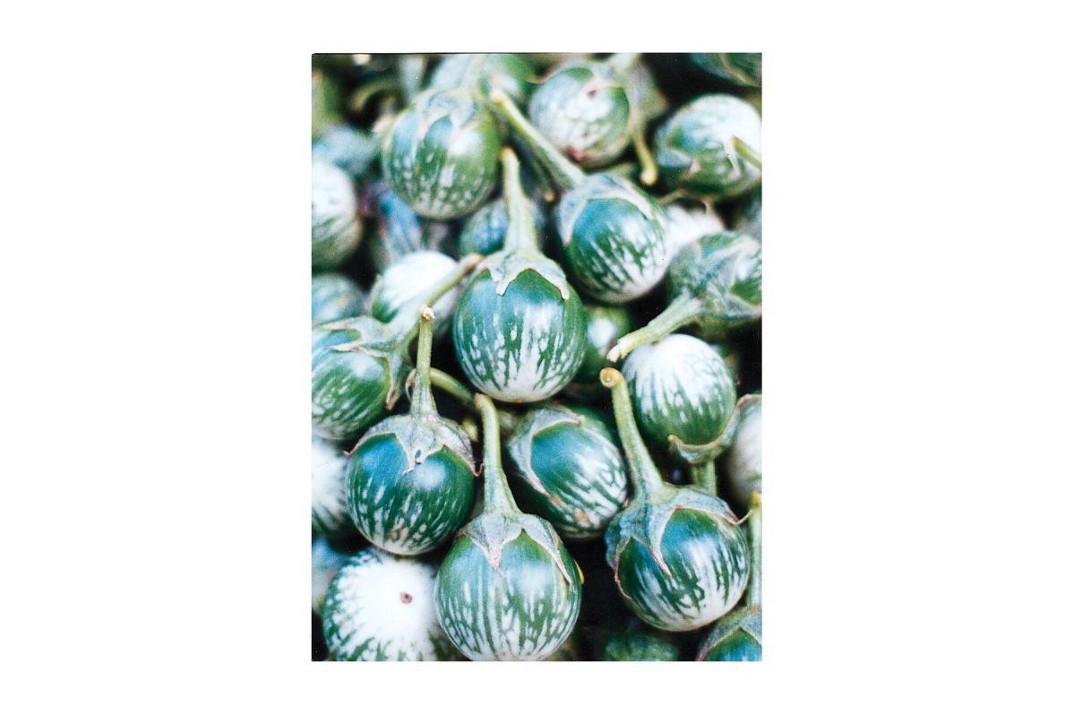 Kermit – Eggplant Seed