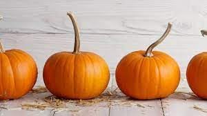 Pumpkin Fruit Seeds for Growing Hearty and Nutrient-Dense Pumpkins 100 pcs