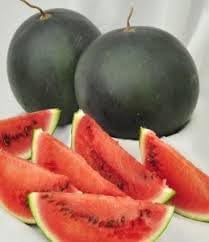 Densuke Watermelon Fruit Seeds for for Planting - Premium Melon Varieties, Non-GMO Seeds