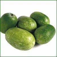 Melon Cucumis melo seeds for garden planting