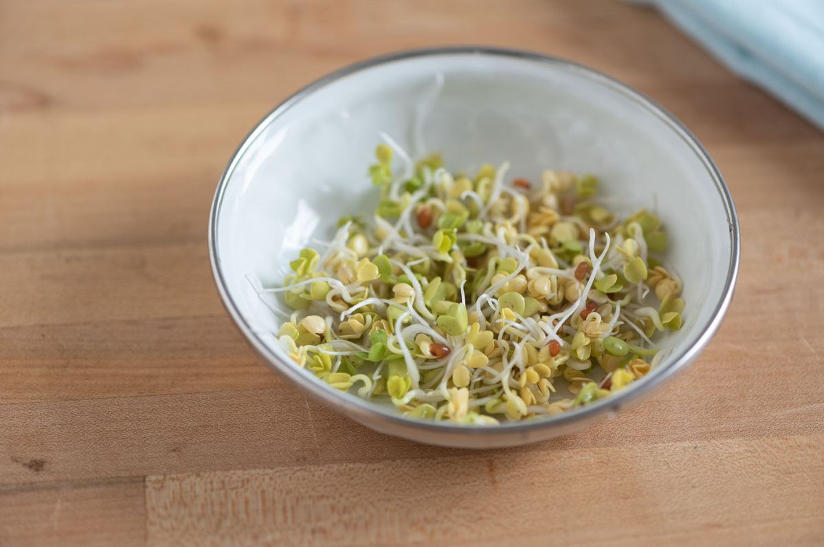 Radish, Daikon – Organic Sprouting Seeds