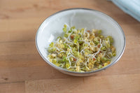 Radish, Daikon – Organic Sprouting Seeds