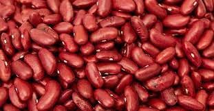 Kidney Bean Phaseolus vulgaris seeds for garden planting