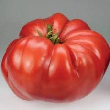 Huge Tomato Seeds for Planting, Red, 100 pcs