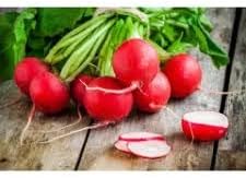 German Giant Radish Vegetable Seeds for Planting - 100 pcs