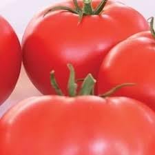 Hybrid Tomato Seeds for Planting - 100 pcs