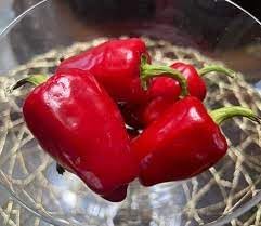 Halaby Pepper Capsicum annuum seeds for garden planting