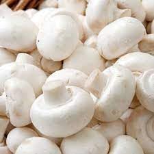 Mushrooms Vegetable Seeds for Planting - heirloom & Non-GMO Seeds
