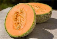 Melon Fruit Seeds - 50pcs, Grow Juicy and Flavorful Melons for Your Garden 100 pcs