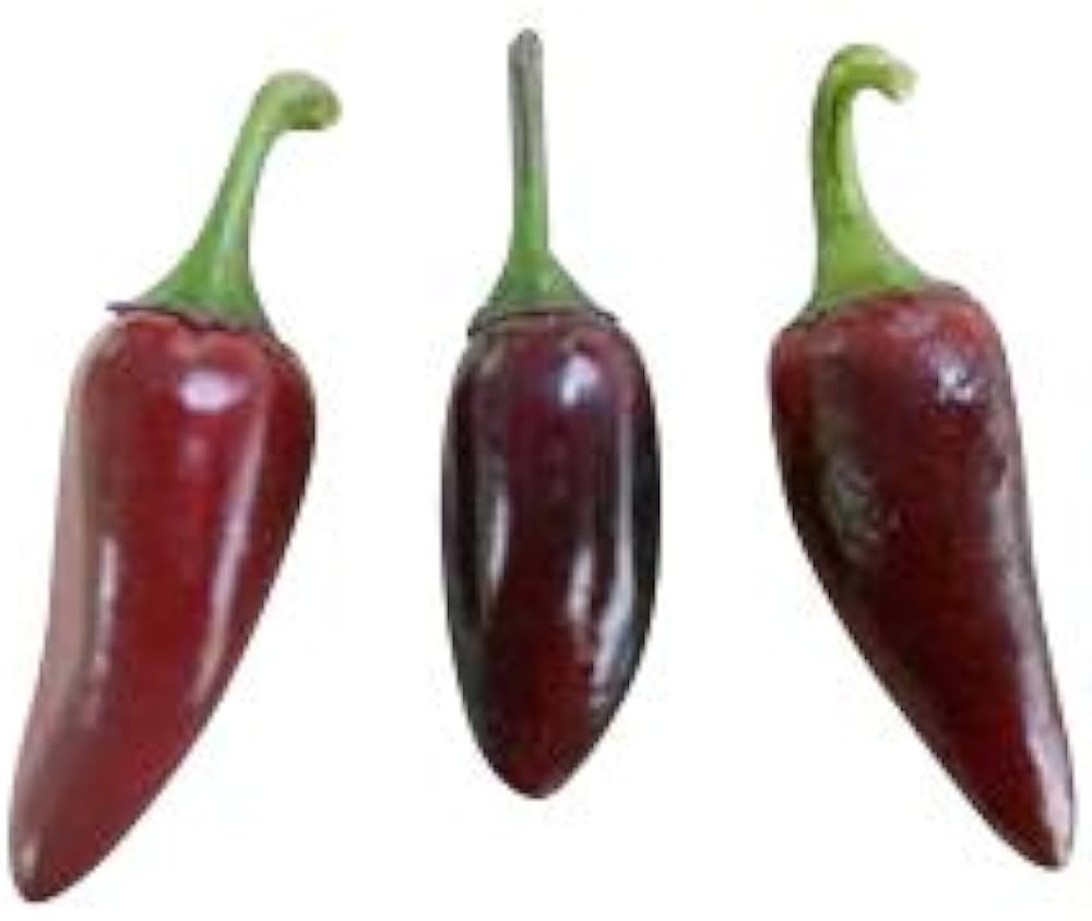 Purple - Jalapeno for planting in home garden