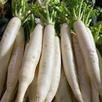 Daikon Radish Seeds for Planting - 100 pcs