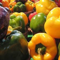 Sweet Pepper Rainbow Vegetable Seeds for Planting - Heirloom and Non-GMO garden seeds