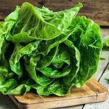 Lettuce Seeds for Home Garden, 100 pcs