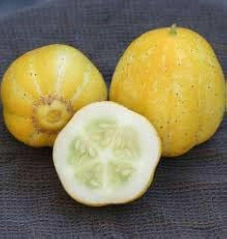 Lemon – Organic Cucumber Seed