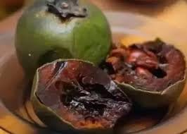 Diospyros Digyna Chocolate Pudding Fruit Seeds, Sweet and Exotic Delight 100 pcs