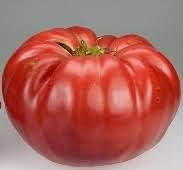 Huge Tomato Seeds for Planting Dark Red - 100 pcs
