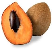 Mamey Fruit Seeds for Planting – Non-GMO, Heirloom Seeds for Tropical Fruit Garden