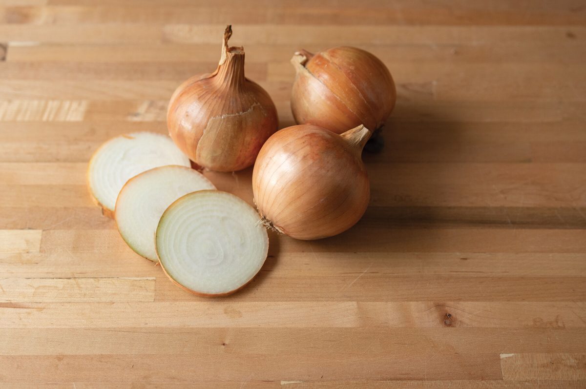 Elsye – Organic Onion Seed