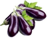 Eggplant Seeds for Planting, Dark Purple, 100 pcs