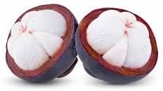Mangosteen Fruit Seeds for Growing Sweet and Exotic Mangosteens 100 pcs