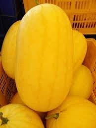 Hami Melon Seeds for Planting, 100 pcs