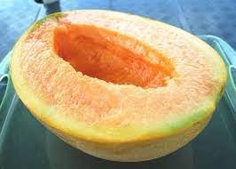 Yubari melon Cucumis melo seeds for premium garden