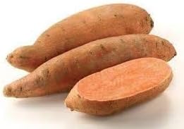 Orange sweet potato Ipomoea batatas seeds for planting in garden beds
