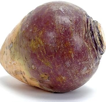 Purple Rutabaga Vegetable Seeds for Planting heirloom & Non-GMO Seeds