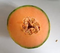 Muskmelon Cucumis melo seeds for planting in home garden