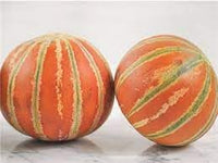 45pcs Kajari Melon Fruit Seeds - Indian Melon Variety for Warm Climates 100 pcs