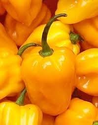Habanero Pepper Seeds for Planting - 100 pcs