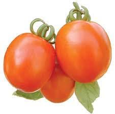 Campbell’s Soup Tomato Solanum lycopersicum seeds for planting