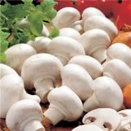 White Mushroom Seeds for Planting - 100 pcs