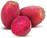 Prickly Pear Fruit Seeds for Planting - Cactus Lovers | Hardy & Resilient | Heirloom Seeds