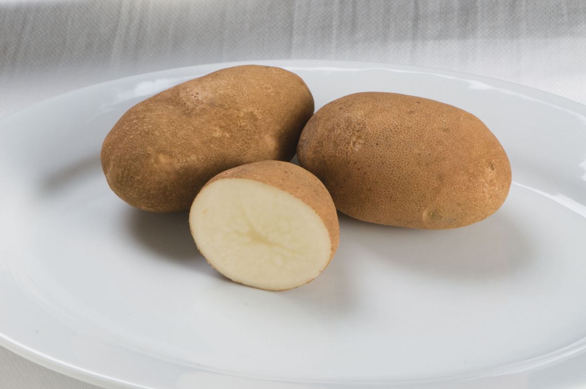 Gold Rush – Seed Potatoes