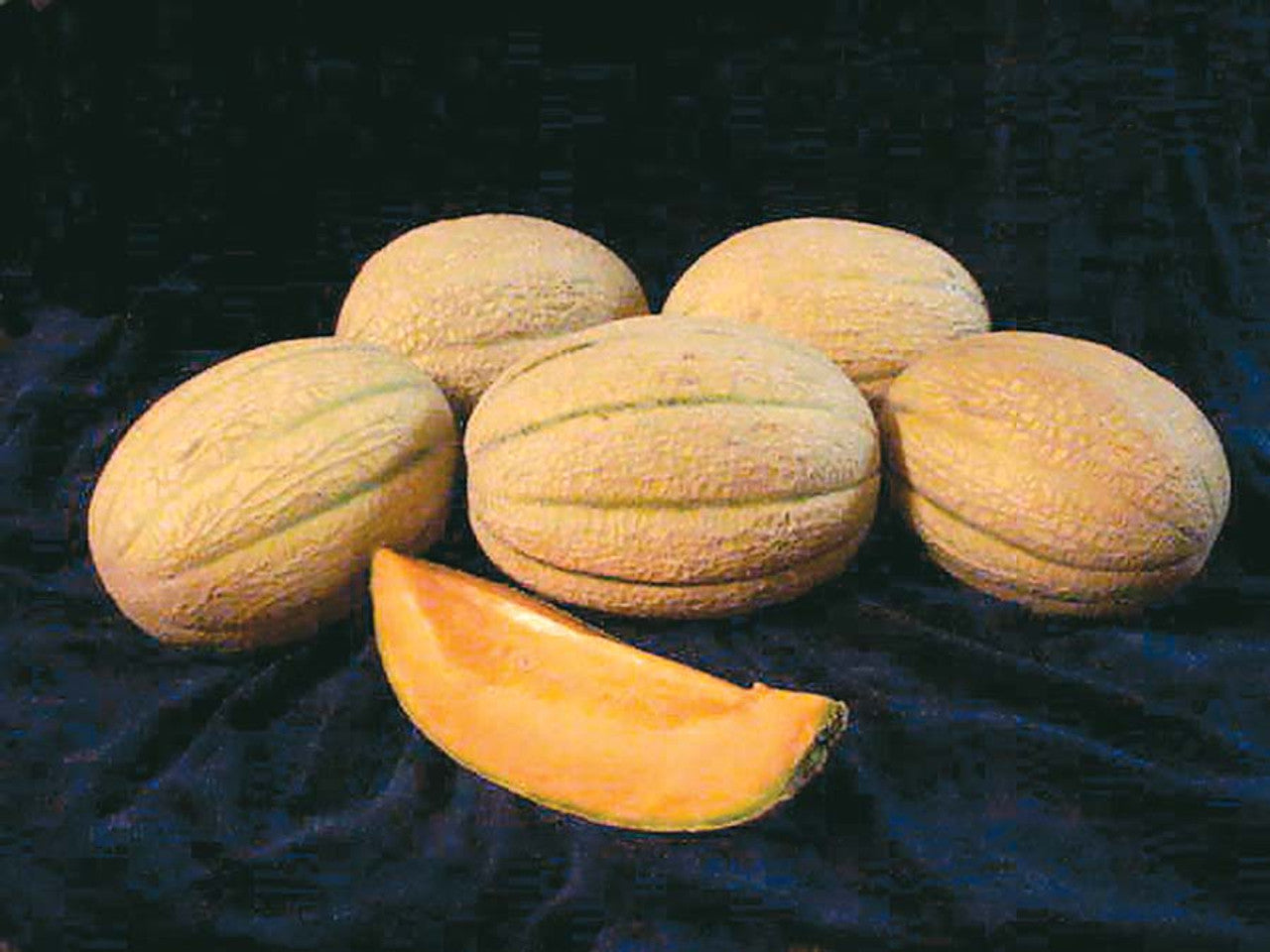 Hannah’s Choice – Melon Seed