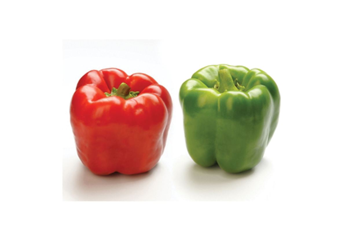 Procraft – Bell Pepper Seed