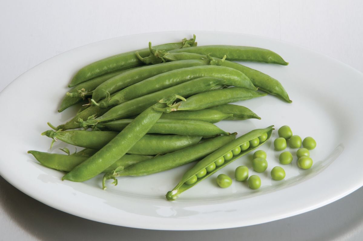 Penelope – Pea Seed