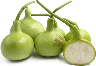 Thai Bottle Gourd Seeds for Planting – Non-GMO, Heirloom Vegetable