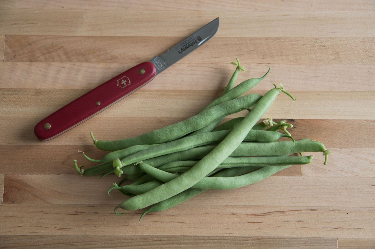 E-Z Pick – Organic Bean Seed