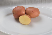 Red Gold – Seed Potatoes