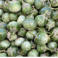 Kermit – Eggplant Seed