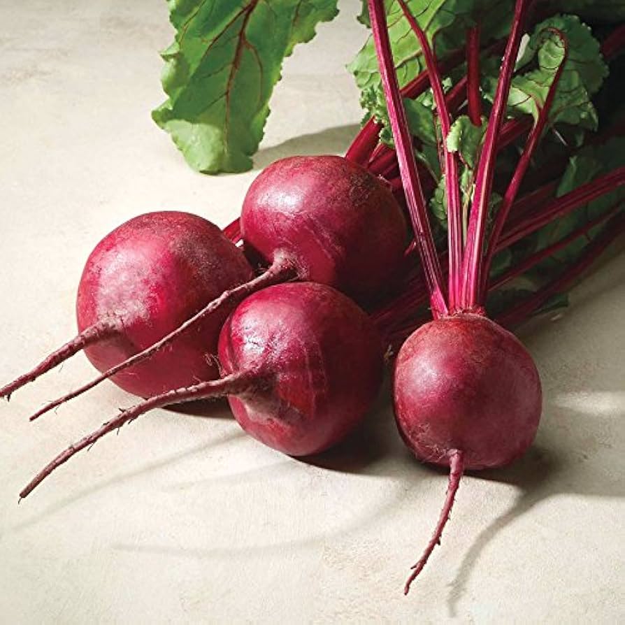Bull’s Blood – Organic Beet Seed