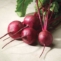 Bull’s Blood – Organic Beet Seed