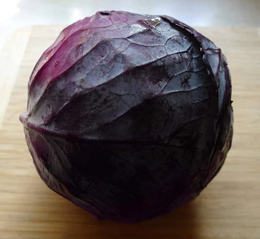 Integro – Organic Cabbage Seed
