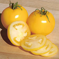 Taxi – Organic Tomato Seed