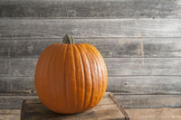 Rival PMR – Pumpkin Seed